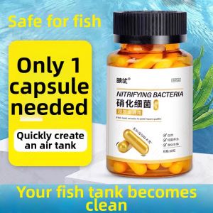 BEISHU | Nitrifying Bacteria Water Purifier For Aquarium  Granules