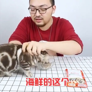 【SG ready stock】CIAO Cat Snacks Sandwich Chicken Rolls Healthy Nutritious Cat Treats Dental Sticks Cat Biscuits