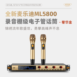 Wireless Microphone KTV Performance Professional Handheld Ultra-cardioid P2 Martin ML5600 Home Use Singing Stage Conference