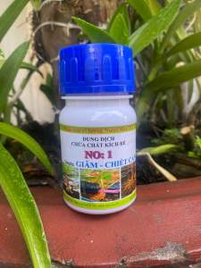 Kích rễ cực mạnh NO1 kích rễ cho gốc - chiết cành - găm cành