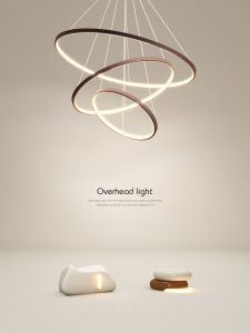 Modern Minimalist Stylish Pendant Light