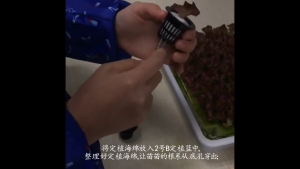 กระถางต้นไม้ กระถางกล้วยไม้ทรงกลม กระถางกล้วยไม้ กระถางพลาสติก มีรูระบายน้ำรอบ ทำจากพลาสติกเกรด A