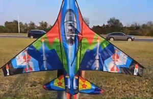 Aka Realistic Airplane Kite Saranggola Large Aircraft Kite for Summer Beach Trip Garden Toys for Boys and Girls Complete Set with Kite Thread and Reel Great Gift Ideas for Kids Outdoor Fun Games