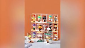 NUVOX 6PCS/SET Blind Box Storage Display: A Comprehensive Guide