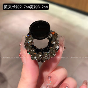 2025 New Style Womens Half Updo Hair Clips Fashionable Hair Accessories Fixed Hair Grips behind Head Cute Small Claw Clips