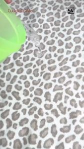 Drypad Cuddle Me Perlak Bayi Adem Tanpa Suara Gemerisik Travel Pad Perlak Anti Air