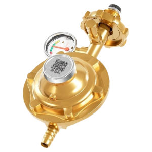 New National Standard Home Use 0.6 Explosion Proof Liquid Gas Self Closing Regulator Low Pressure Gas Bottle Adjustment Valve