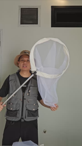 สวิงสำหรับจับแมลง IH2 ด้ามยืดหด น้ำหนักเบา จับแมลงที่มีขนาดเล็ก แมลงที่บินเร็วได้ดี sweep net