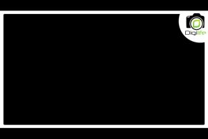 Sirui Tripod A-1005 Y10 Ball Head ขาตั้งกล้อง อเนกประสงค์  Monopod  กลับหัวได้ ( A1005 Y10 ) / Digilife