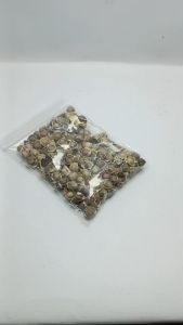 เม็ดมะรุมแห้ง เม็ดมะรุม ชาเม็ดมะรุม ผักฆ้อนก้อม มะรุม ฆ้อนก้อม