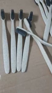 Bàn chảiBộ Amenities thân thiện môi trường làm từ bột trấu(set 10 bộ)Bộ đồ dùng tự hủy trong khách sạn