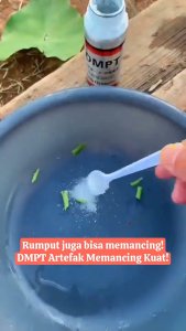 essen gacor ikan mas