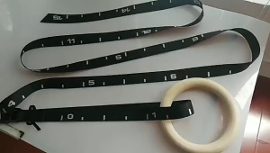 Wood Gymnastic Rings with Quick Adjust Numbered For Gym Strength Training Gym Rings home Gym