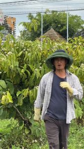 Mật ong Canaan 200ml