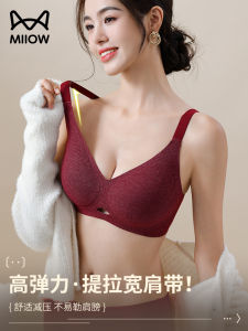 Red Wine Color Bra Cat Person Underwear Store 2025 Snake Year Lucky Year Gather Side Breast Reduce Underarm Fatigue Free Bra