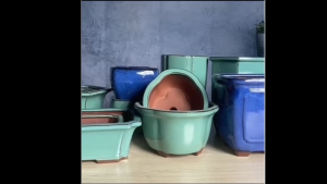 🔥READY STOCK Manger Purple Clay Ice Crack Texture ZIsha Ceramic Bonsai Flower Pot For Bonsai Clay Ceramic