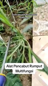 Alat Pencabut Rumput Liar Di Halaman Rumah / Sekop Berkebun Empat Garpu / Garpu Tanaman Multifungsi