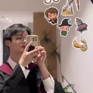 Genuine 50Pcs Harry Potter Stickers Anime Waterproof For Phone Laptop Scrapbook Suitcase Sticker Birthday Party Gifts