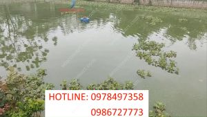 Máy phun mưa tạo cảnh hồ bơi giá tốt