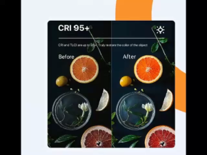 Lampu LED Video Zomei WL- 98 untuk Fotografi Selfie Vlogging - Original