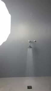 SANIVITAL Chrome ABS Đầu Vòi Hoa Sen Cố Định Áp Suất Cao Với Vòi Phun Chống Tắc Tiết Kiệm Nước Đầu Vòi Hoa Sen Gắn Trần Hình Tròn