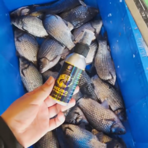 PROMO TERBATAS - Spray Aroma Ikan Ekstra Ampuh untuk Pemancingan | Cairan Perampas Galak Ikan | Multi-Guna untuk Semua Jenis Ikan | 60ml