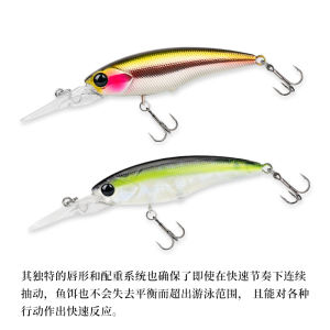 Yajie Outdoors Lure 60mm 5.7g Extended Tongue Board Suspended Floating Minnow for Bass Fishing Freshwater And Saltwater
