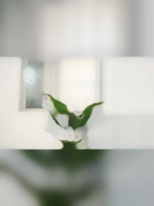 Self Watering Pots For Plant Flower Pots For Plant Flower Pot For Plant Pot Good-looking White Simple Modern 花盆