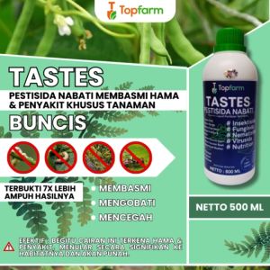 Obat Ulat Untuk Tanaman Buncis / Obat Ulat Buncis / Obat Ulat Tanaman Buncis / Obat Semprot Hama Buncis / Obat Penyubur Buah Buncis / Obat Tanaman Buncis