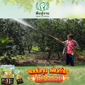 (3 แพ็ค) พืชสู้งาน ผงเพิ่มพัฒนาการพืช 3in1 สูตรเข้มข้น ดินดี พืชโตไว สำหรับทุกระยะการเจริญเติบโต แถมฟรี 10 ซอง