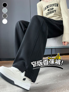 Casual Slim Fit Wide Leg Pants for Women New Style Spring Autumn 2024 Loose Black Work Clothing with Regular Thickness