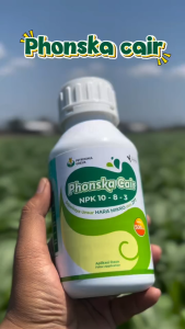 Pupuk NPK Phonska Cair Ponska Cair NPK 10 - 8 - 3 500ML Petromart