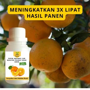 Pupuk Jeruk Cepat Berbuah / Pupuk Pelebat Buah Jeruk / Pupuk Booster Jeruk Cair