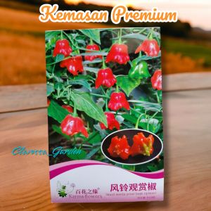 (KEMASAN PREMIUM) BIJI/BENIH CABE BISHOP CROWN/CABE LONCENG (isi -+25 butir)