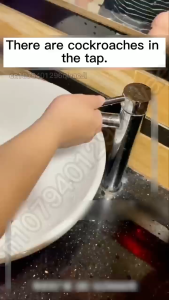 [Johor Seller] 1/3/5 Pest Control Cockroach Killing Insect Bait Gel Repellent Toilet Roach Wipeout Ubat Lipas Ubat 蟑螂药