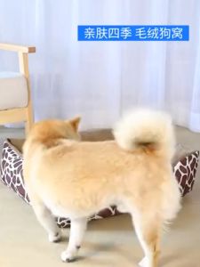 nệm chữ nhật hoa văn tuần lộc dành cho chó mèo - T3 PETS SHOP