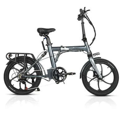 Foldable Electric Bike