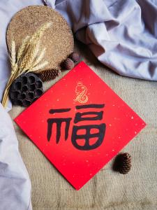 Creative Handwritten Chinese Calligraphy Artwork Snake Year Spring Greeting Double-Sided Couples New Home Housewarming Wedding Gift