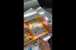 หนังสือมีเสียง Sound Book 3 ภาษา ก ไก่ ABC 123 และ 100 Animals (ซื้อแยกเล่มได้)