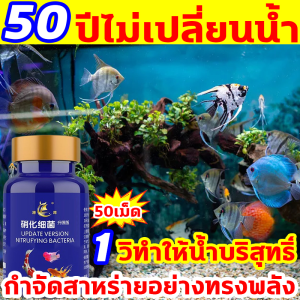 เสริมแร่ธาตุและเอนไซม์ จุลินทรีบ่อปลา แคปซูลเข้มข้น 50เม็ด/1กล่อง จุลินทรีย์บ่อปลา สิ่งจำเป็นสำหรับการเลี้ยงปลา จุลินทรีย์ปรับสภาพน้ำใส ละลายอุจจาระ ดับกลิ่นเหม็น น้ำยาปรับสภาพน้ำตู้ปลา ให้น้ำใส ดูแลสุขภาพปลา จุลินทรีตู้ปลา จุลินทรีย์น้ำใสบ่อปลา