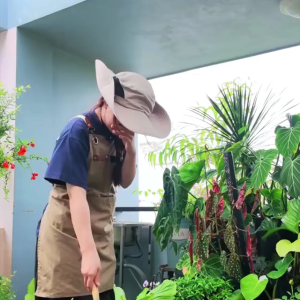Men Ủ Rác Nhà Bếp Trichoderma GreenHome Bao 200gr Biến Rác Thành Phân Bón Nhanh Không Mùi