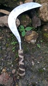 Alat Genggam Untuk Rumput: Pemeliharaan Taman yang Mudah