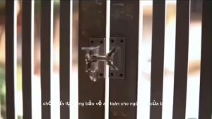 Chốt Cửa Tự Gài Mạ Vàng Siêu Đẹp độc lạ ( tặng kèm ốc vít )