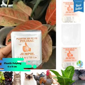 Polybag Semai Bibit Cap Jempol: Kontainer Tanam Bibit & Solusi Tanaman