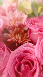 Sữa Dưỡng Thể The Face Shop Perfume Seed Velvet Body Milk