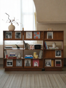 Ziinlife | Modular Free Combination Bookcase Cabinet