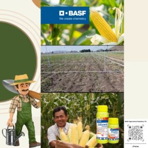 BASF Rampage แรมเพจ สารกำจัดแมลงศัตรูพืช ขนาด 500 มล.