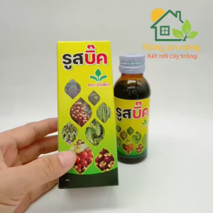 Kích rễ Thái Lan Root Big siêu mạnh chai 100ml hàng nguyên tem Phân Bón Dạng Nước Cho Cây Tạo Cấu Trúc Rễ Khỏe Mạnh Sử Dụng Phun Trên Lá - Lazada
