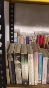 (CLEARANCE) Simply Irresistible by Rachel Gibson English Fiction Novel Book