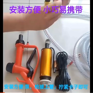 38mm 51mm Electric Car Oil Pump 12V 24V For Pumping Diesel Oil Water Submersible Aluminum Alloy Shell 12L/min Fuel Transfer Pump